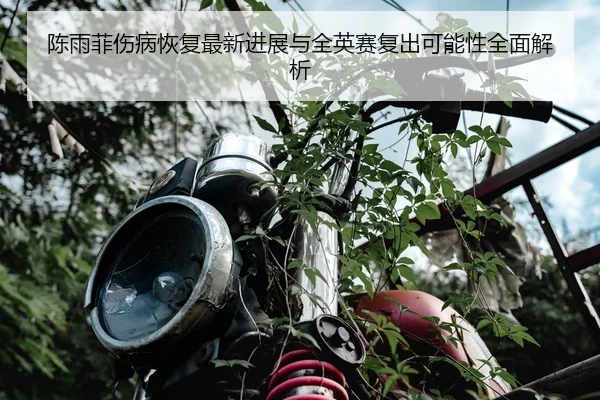 陈雨菲伤病恢复最新进展与全英赛复出可能性全面解析