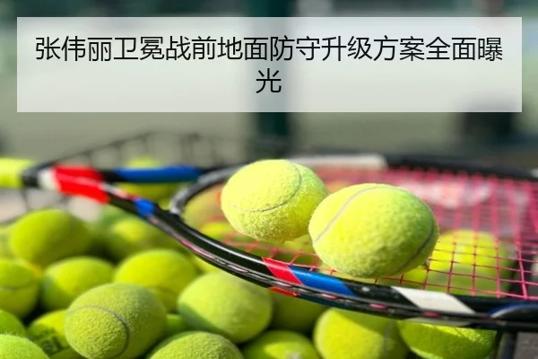 张伟丽卫冕战前地面防守升级方案全面曝光