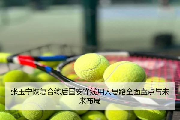 张玉宁恢复合练后国安锋线用人思路全面盘点与未来布局